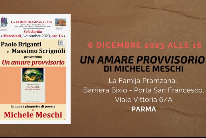 UN AMARE PROVVISORIO di Michele Meschi